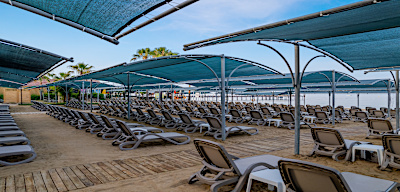 Trendy Palm Beach (Adults Only, 16+) Genel 3